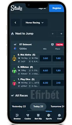 Stake Review for World Cup Betting