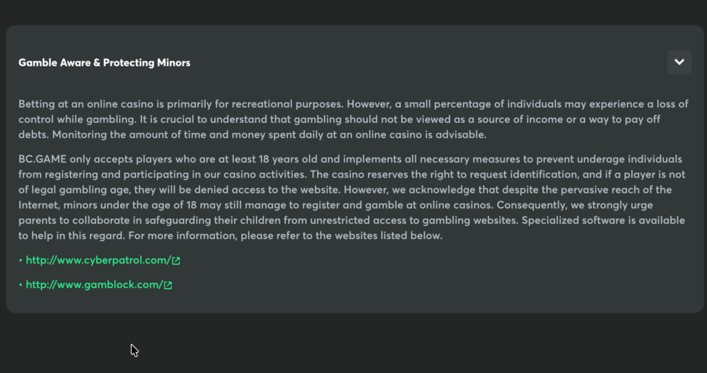 BC.Games Security and Payment Safety