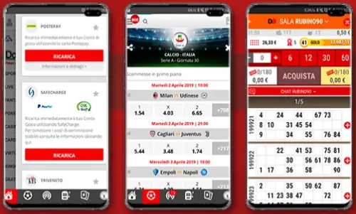 App Domusbet
