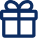 Gift icon