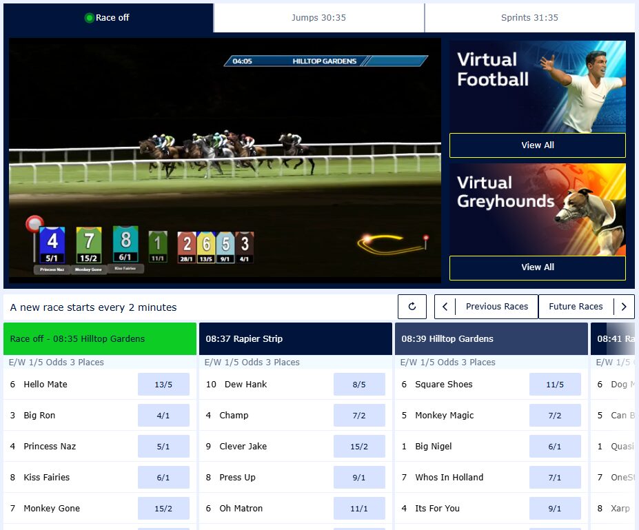 Virtual Sports Betting william hill