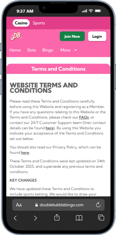 Double Bingo Terms & Conditions (Important Details)