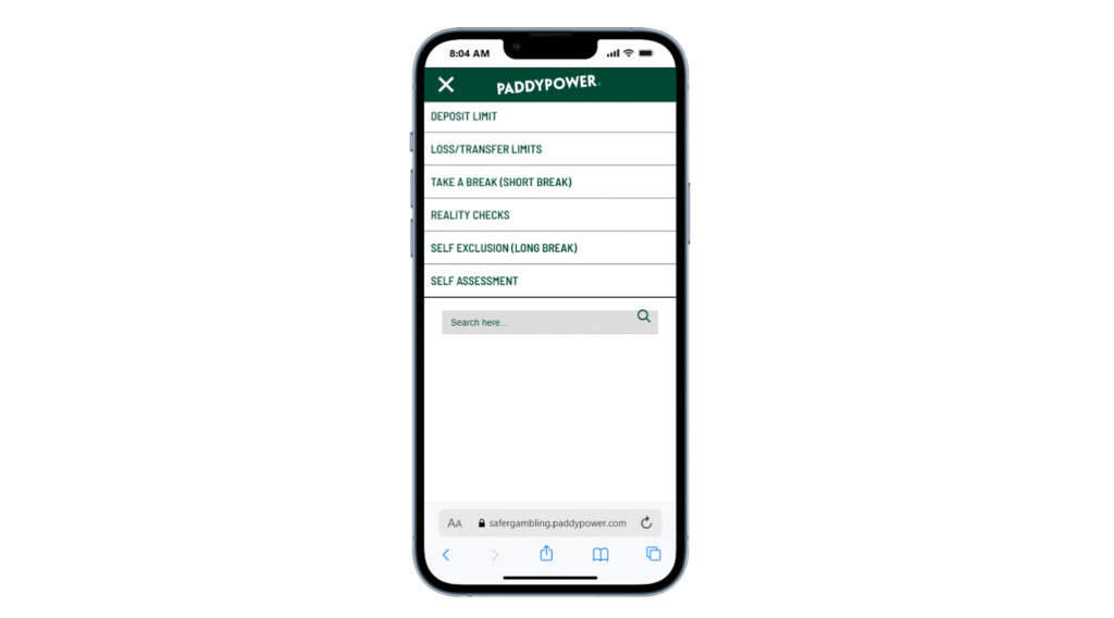 PaddyPower Responsible Gambling Practices