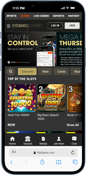 Fitzdares UK's offer