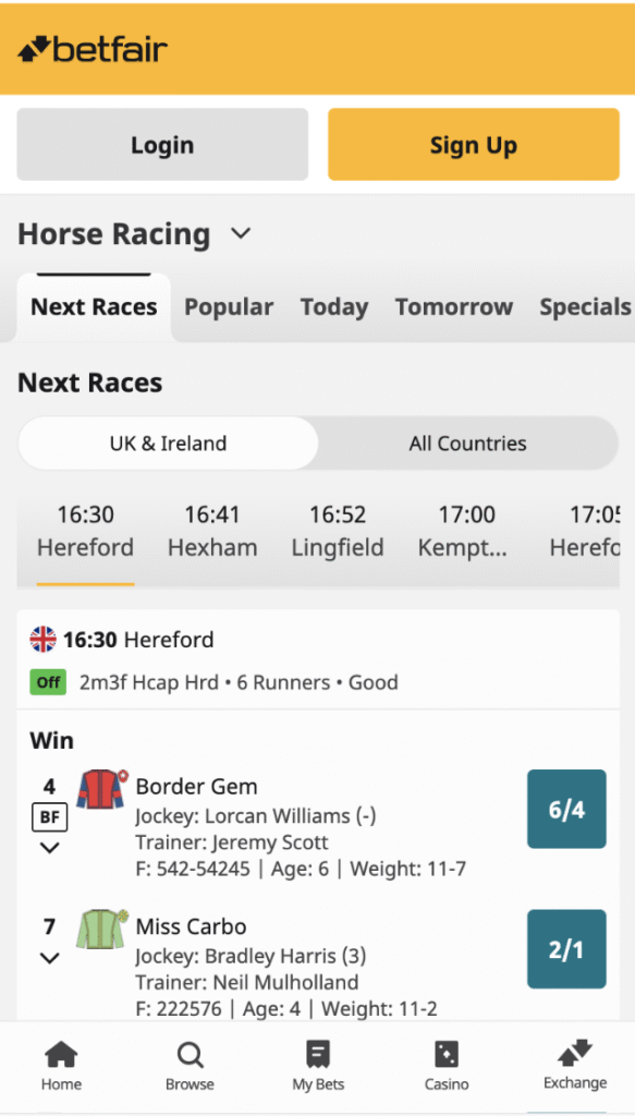 betfair horse racing