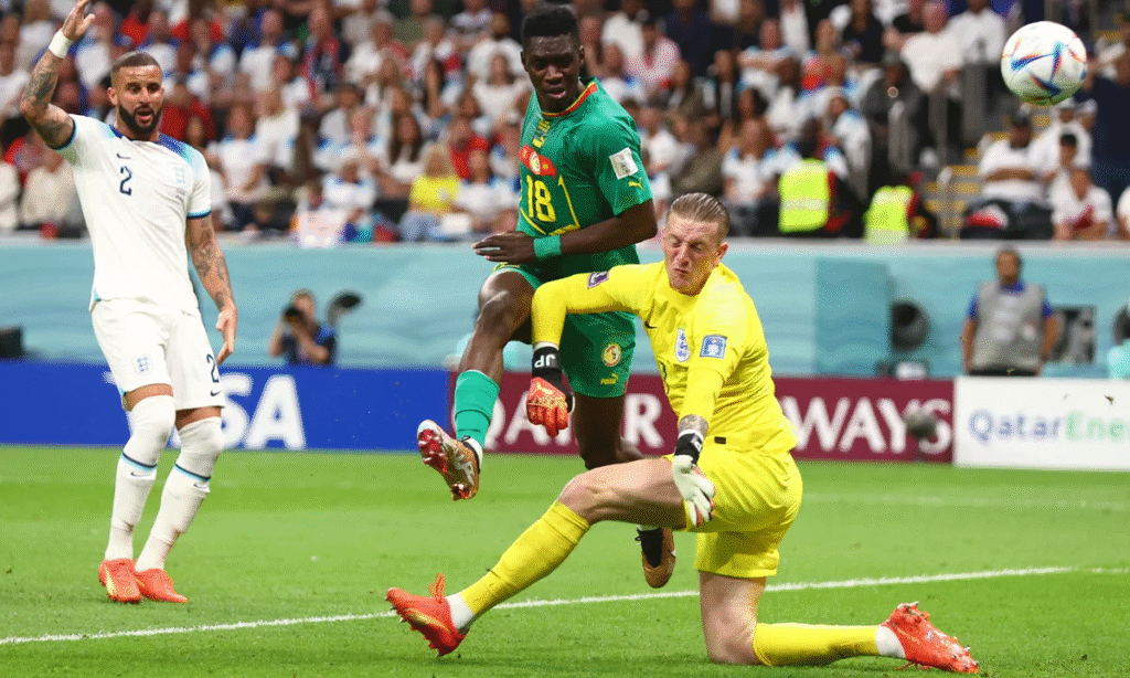 bet365 World Cup Review
